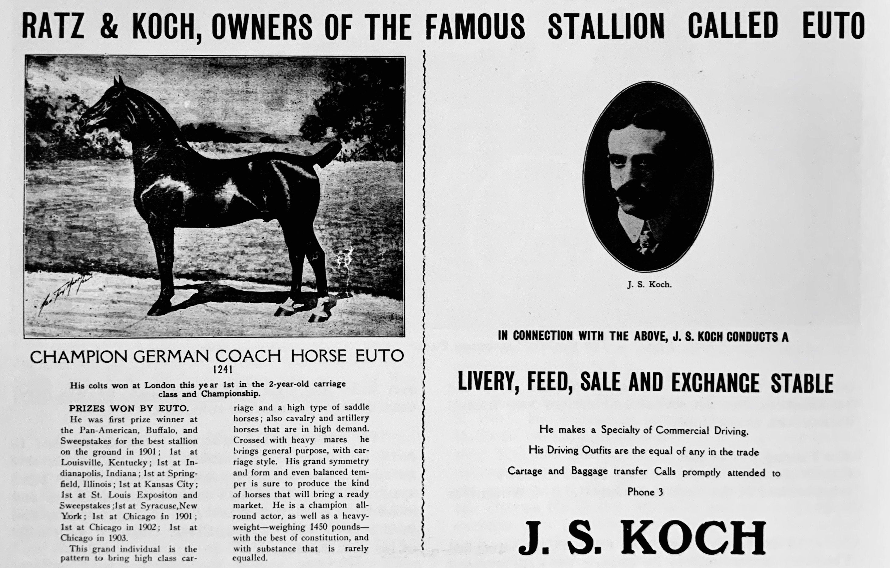 Ratz & Koch, Owners of the Famous Stallion called Euto