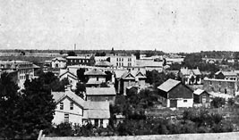 Bird's Eye View of Tavistock